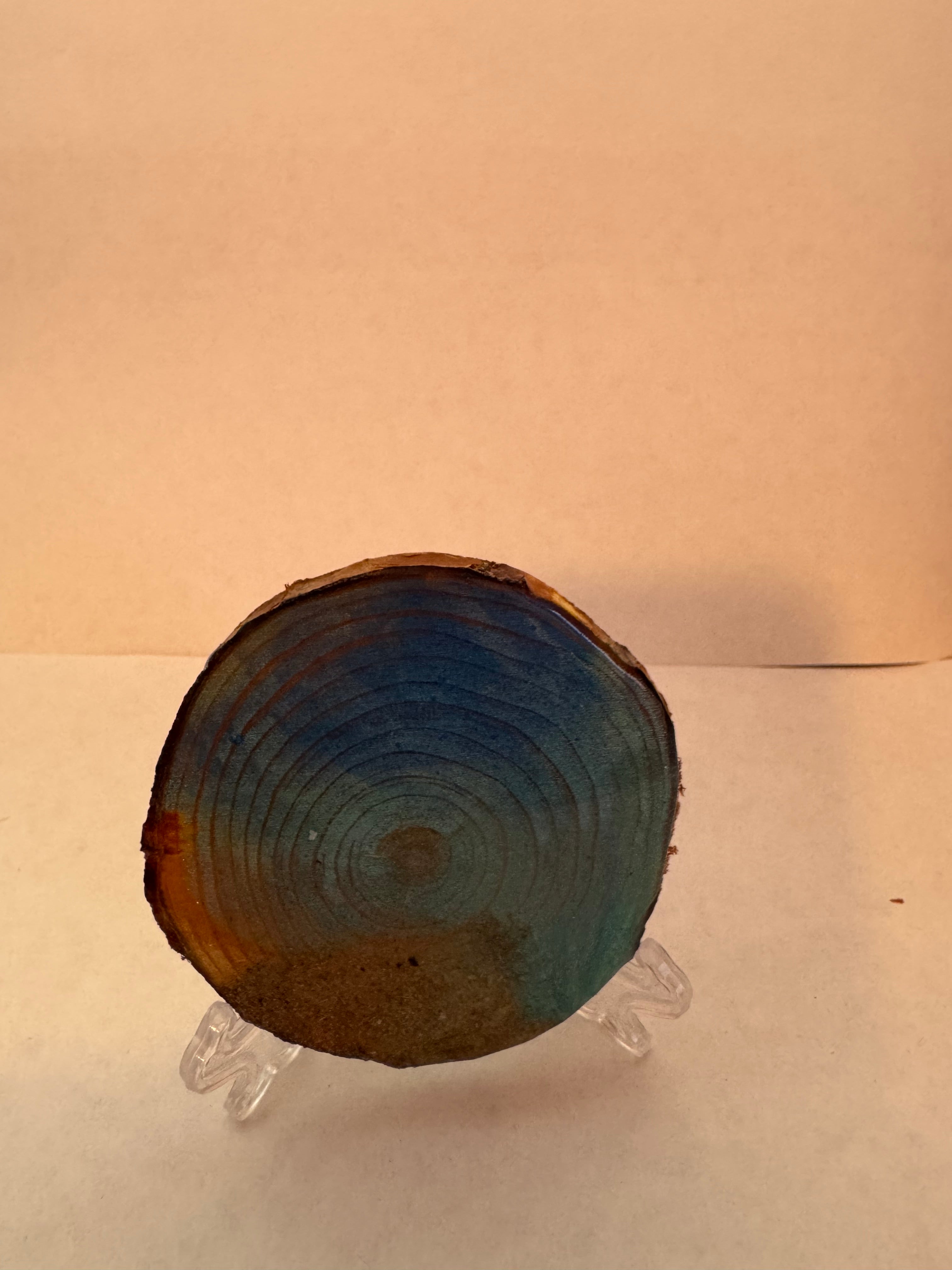 Orilla Caribeña en Madera